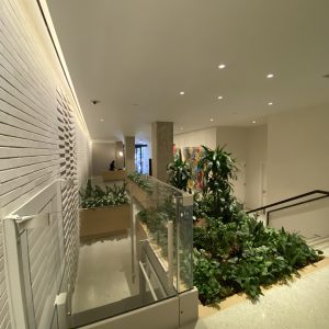 155 Ave of the Americas (Lobbies)
