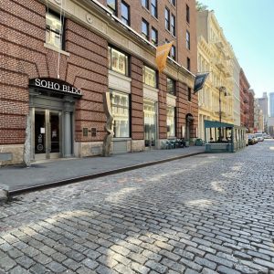 Lower Manhattan (South of 14th St)